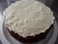 Choc cake w:coconut.JPG
