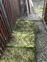 D4A00494-6537-4962-B382-43419428ED53.jpeg