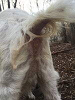 8E943ED0-E374-4BFD-890F-5416EC0C3B58.jpeg