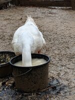 IMG_20190118_085752.jpg