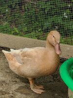 MVIMG_20180729_151149.jpg
