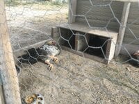 thumbnail_IMG_0073.jpg