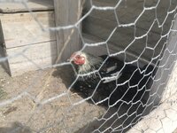 thumbnail_IMG_0076.jpg