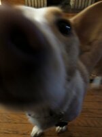 0473D658-0211-456A-8533-250E1EE70560.jpeg