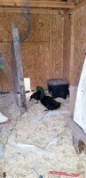 IMG_2503.JPG