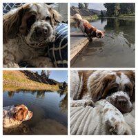 nahla collage.jpg