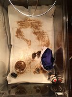 IMG_1984.jpg