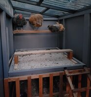 roost-brooder.jpg
