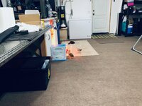 IMG_0003.jpeg