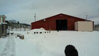 IMG_20180204_113122049.jpg