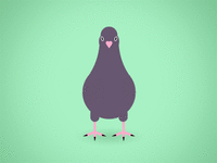 pigeon_dance.thumb.gif.a1254c117e0045c5b0dba828e503605b.gif