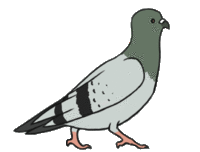 pigeon_walk_animation_by_clojo_733-d718ldp.gif