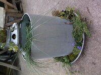 DSCF5955.JPG