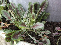 DSCF5953.JPG