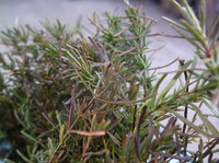 DSCF5948.JPG