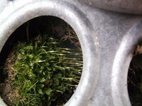 DSCF5947.JPG