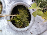 DSCF5941.JPG