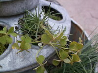 DSCF5942.JPG