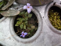 DSCF5945.JPG