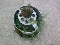 DSCF5937.JPG