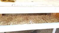 20170809_142349.jpg
