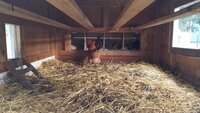20180208_092558.jpg