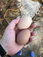 IMG_6807.jpeg