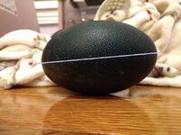 Egg A Line.jpg