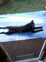 20180624_200712.jpg