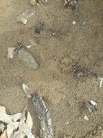 20190216_143842.jpg