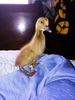 20180408_112654.jpg