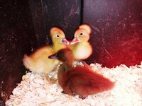 20180410_101709.jpg