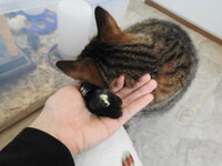 DSCN4532.JPG