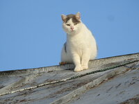 DSCN3582.JPG