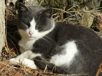 DSCN4696.JPG