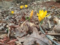 20190218_122130.jpg