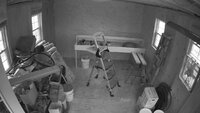 coop-01.jpg