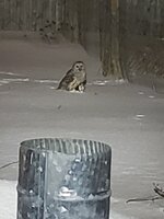 20190218_050122.jpg