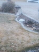 20190220_182243.jpg