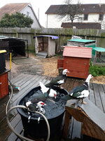 20190203_093621.jpg