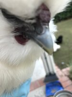 299FEC47-1B79-4148-A0F7-03B4001BB68F.jpeg