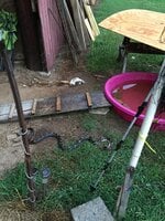 IMG_6534.JPG
