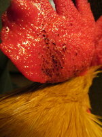 IMG_4897.JPG