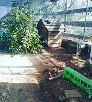 IMG_20190223_095713_189.jpg