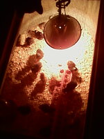 IMG_20190225_180909.jpg