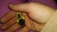 20190226_061705.jpg
