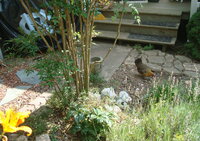 DSC05454.JPG