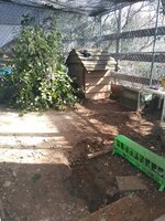 IMG_20190223_094546355.jpg