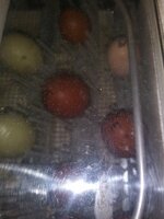 20190227_131743.jpg