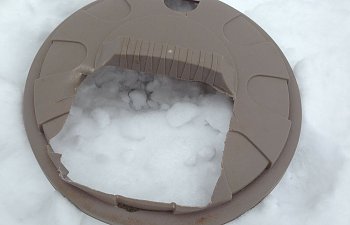IMG_2375.jpg
